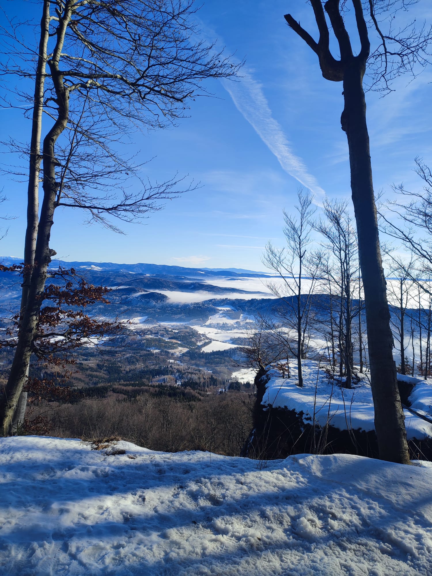 IMG-20250118-WA0003